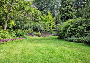 Optimiser l'expérience du jardin à Rosieres-en-Santerre